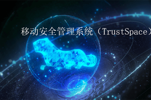 奇安信移動(dòng)安全管理系統(tǒng)（TrustSpace）