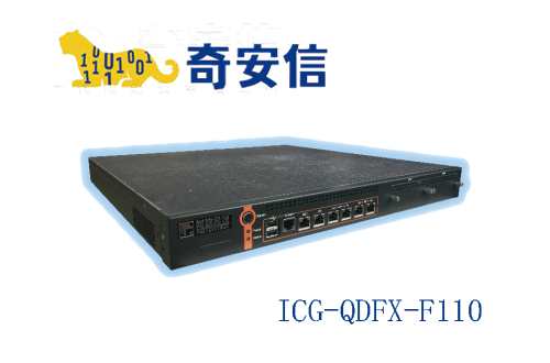 奇安信網康上網行為管理ICG-QDFX-F110